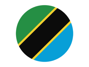Forex regulation in Tanzania - how brokers operate in this country