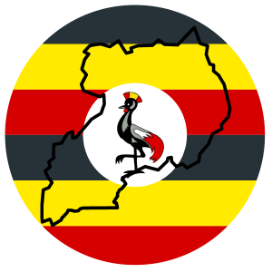 Online forex trading in uganda