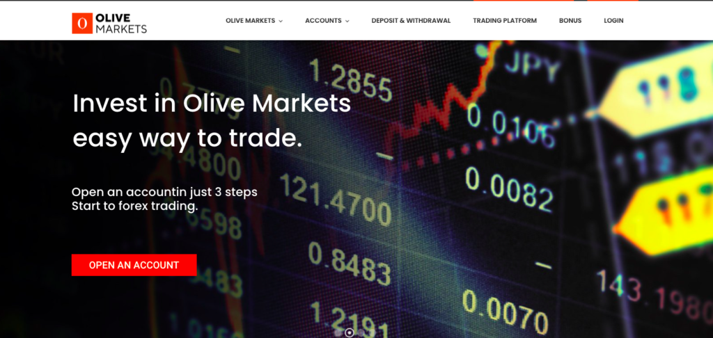 olive markets review